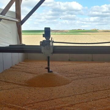 6m breite Box, 10m lg.,  Wandhöhe 2m, hier Körnermais