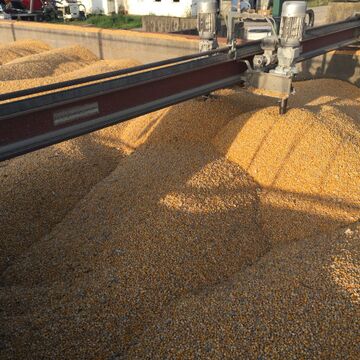 Trocknen von Körnermais Boxengröße 6 x 19m