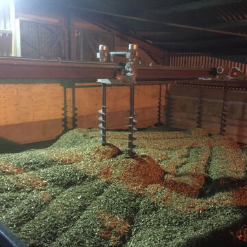 Sägezahnschnecken bei der Hackschnitzeltrocknung