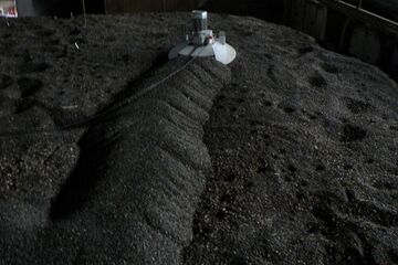 Einsatz in Sonnnenblumen