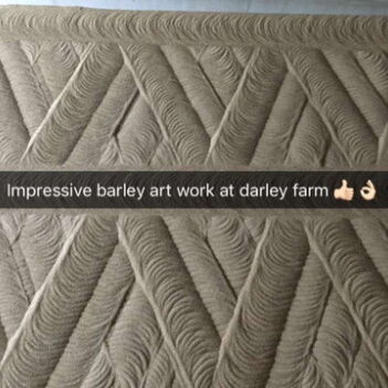 Zick-Zack Fahrtmuster 4 Schneckenmischer