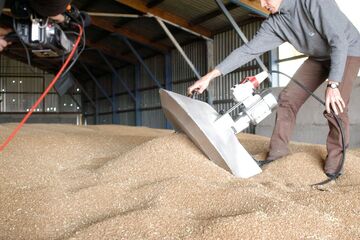 Rauskanten, bis die Schnecke sichtbar wird